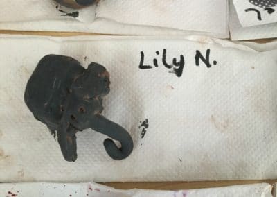 Lily’s Amazing Elephant