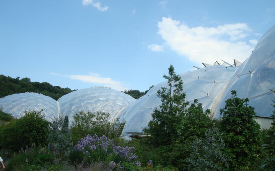 Eden Project Expedition